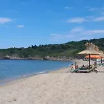 Lilia каваци,