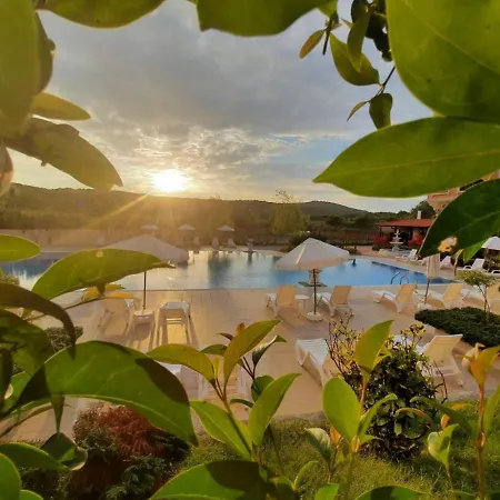 Lilia каваци, Sozopol