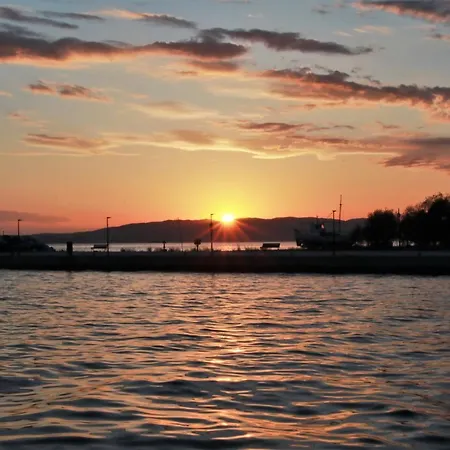 Lilia каваци, * Szozopol
